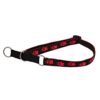 Obojek popruh polostahovací 40 – 70 x 2,5 cm
