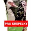 Energys Gold křepelka 25 kg