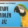 Cedulka Dafiko PAPOUŠEK ARA ARARAUNA