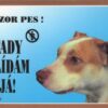 Cedulka Dafiko PITBULTERIÉR