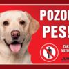 Cedulka plast LABRADOR žlutý