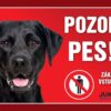 Cedulka plast LABRADOR černý