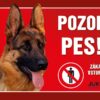 Cedulka plast NĚMECKÝ OVČÁK