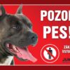 Cedulka plast STAFORD