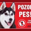 Cedulka plast HUSKY/MALAMUT