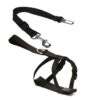 Postroj pro psa do auta Croci XS 20-50 cm