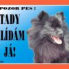 Cedulka Dafiko ŠPIC