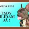 Cedulka Dafiko FRANCOUZSKÝ BULDOČEK